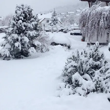 Comfortable In A Beautiful Surrounding 公寓 索滕斯