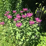 Comfortable In A Beautiful Surrounding Апартаменты Заутенс